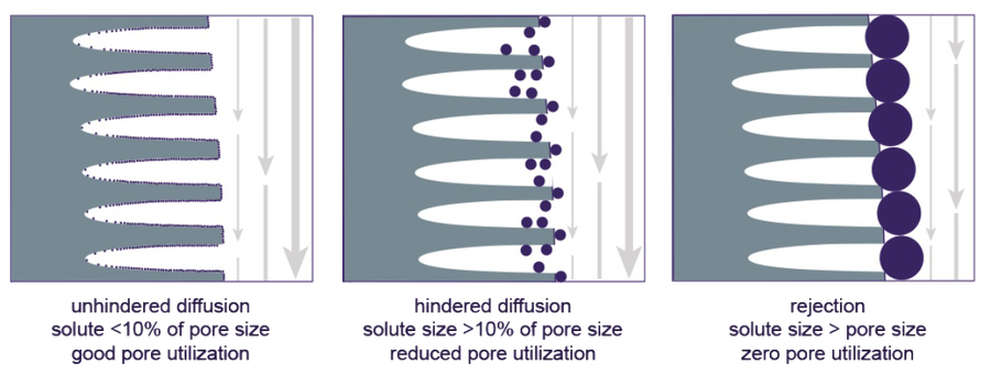 binding surface area